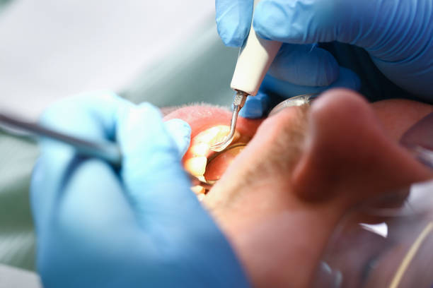 Best Emergency Orthodontic Services in Mount Hore, WI